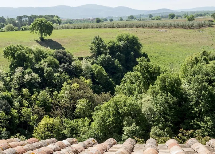 Palazzo Pacini Hotel 4*