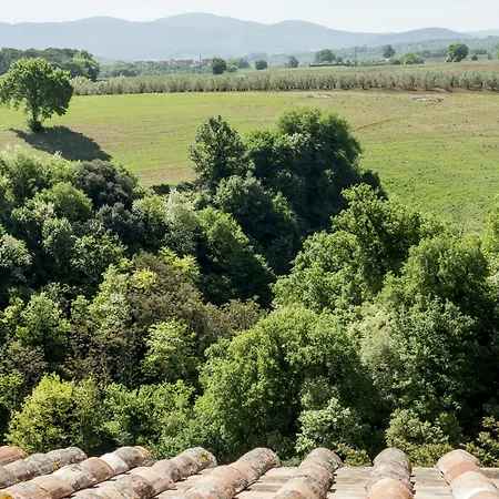 Отель Palazzo Pacini 4*